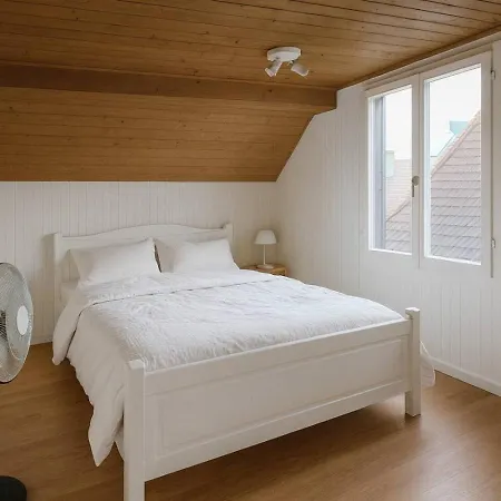 Modern Comfort Heritage 1673 Lägenhet Unterseen