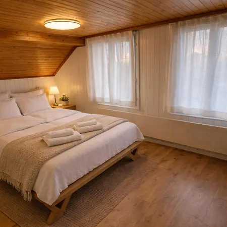 Modern 2br Loft In Historic Swiss 200m From Interlaken West Apartment *