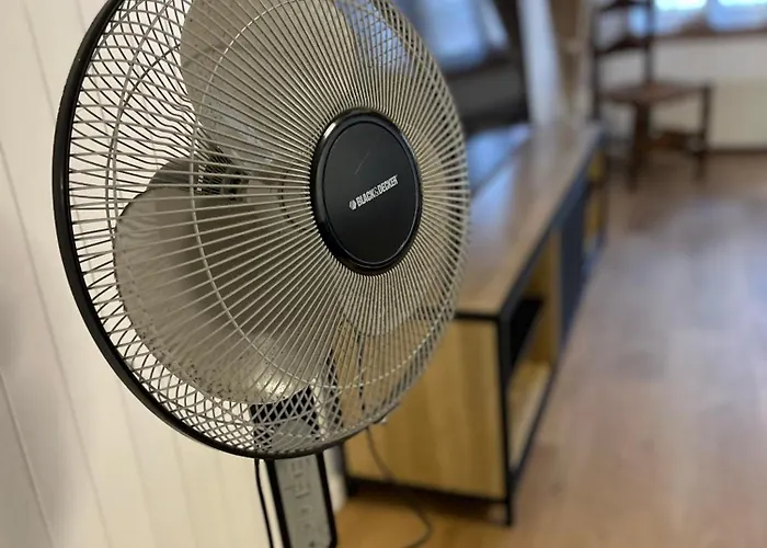 Appartement Historic 1673 2br Alpine Loft Interlaken Unterseen