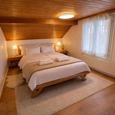 Modern 2br Loft In Historic Swiss 200m From Interlaken West Appartement Unterseen